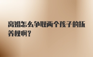 离婚怎么争取两个孩子的抚养权啊？