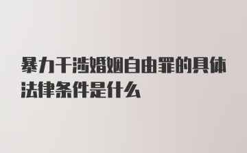 暴力干涉婚姻自由罪的具体法律条件是什么