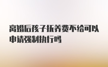 离婚后孩子抚养费不给可以申请强制执行吗