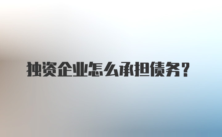 独资企业怎么承担债务？