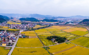 谈恋爱期间赠予的钱