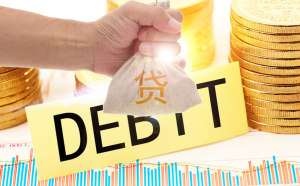  债务清理策略：最新实践与效果评估