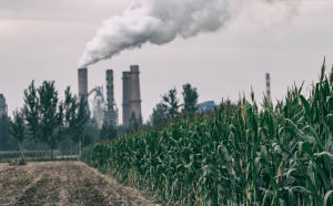 防治法对燃煤产生的大气污染如何防治的规定