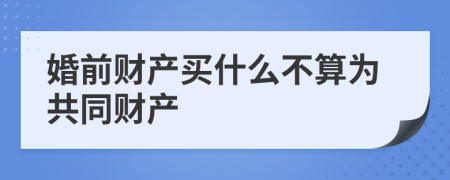 婚前财产买什么不算为共同财产