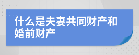 什么是夫妻共同财产和婚前财产