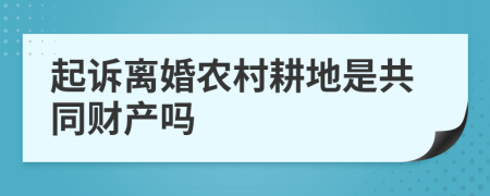 起诉离婚农村耕地是共同财产吗