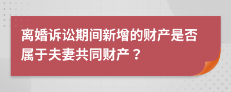 离婚诉讼期间新增的财产是否属于夫妻共同财产？