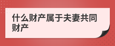 什么财产属于夫妻共同财产