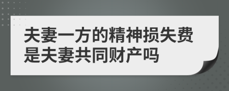 夫妻一方的精神损失费是夫妻共同财产吗