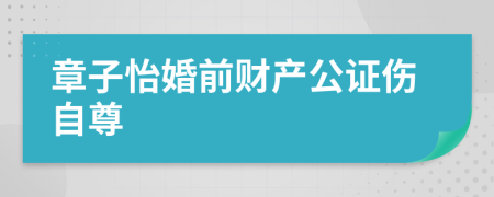 章子怡婚前财产公证伤自尊