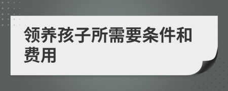 领养孩子所需要条件和费用