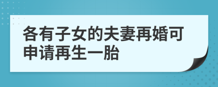 各有子女的夫妻再婚可申请再生一胎