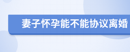 妻子怀孕能不能协议离婚