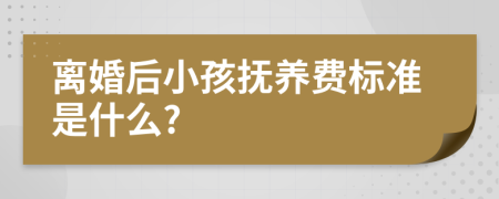 离婚后小孩抚养费标准是什么?