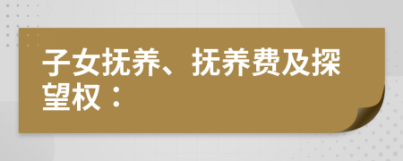 子女抚养、抚养费及探望权：