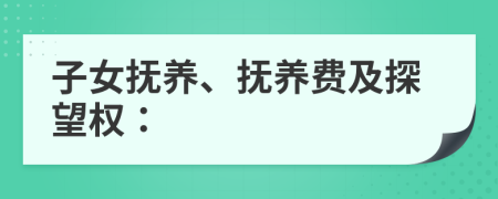 子女抚养、抚养费及探望权：