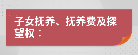 子女抚养、抚养费及探望权：