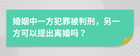 婚姻中一方犯罪被判刑，另一方可以提出离婚吗？