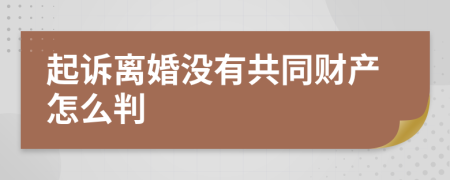 起诉离婚没有共同财产怎么判