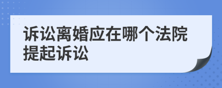 诉讼离婚应在哪个法院提起诉讼