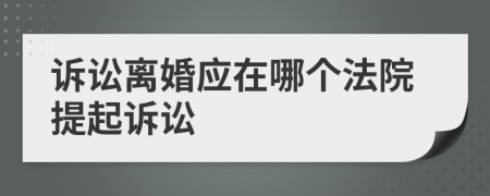 诉讼离婚应在哪个法院提起诉讼