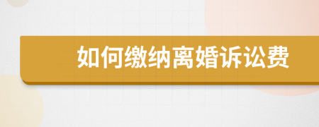 如何缴纳离婚诉讼费