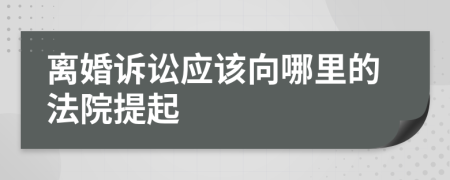 离婚诉讼应该向哪里的法院提起