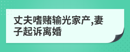 丈夫嗜赌输光家产,妻子起诉离婚