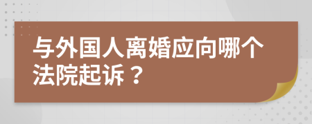 与外国人离婚应向哪个法院起诉？