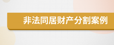 非法同居财产分割案例