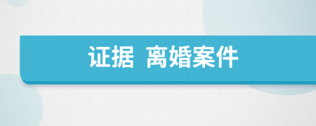 证据  离婚案件