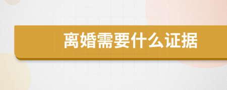离婚需要什么证据