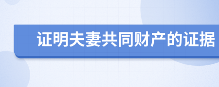 证明夫妻共同财产的证据