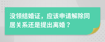 没领结婚证，应该申请解除同居关系还是提出离婚？