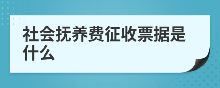 社会抚养费征收票据是什么