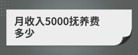 月收入5000抚养费多少