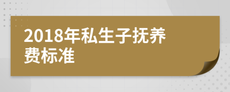 2018年私生子抚养费标准