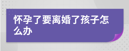 怀孕了要离婚了孩子怎么办