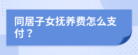 同居子女抚养费怎么支付？