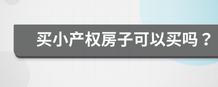 买小产权房子可以买吗？