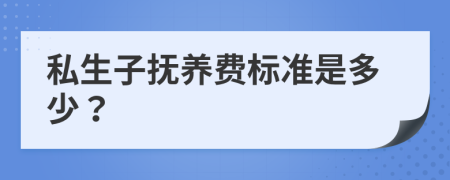 私生子抚养费标准是多少？