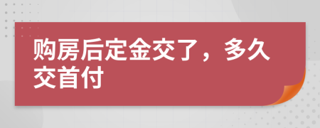 购房后定金交了，多久交首付