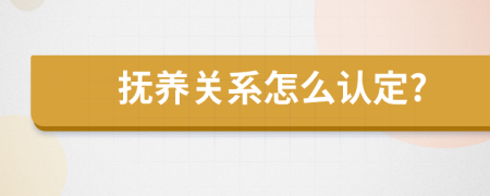 抚养关系怎么认定?