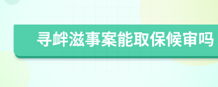 寻衅滋事案能取保候审吗