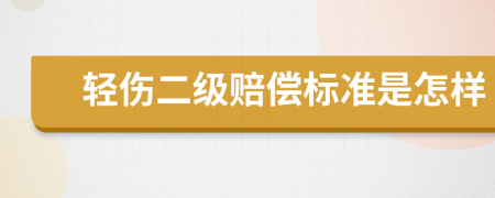 轻伤二级赔偿标准是怎样