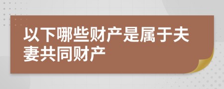 以下哪些财产是属于夫妻共同财产