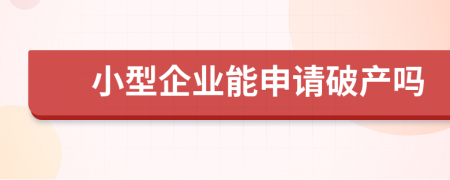 小型企业能申请破产吗