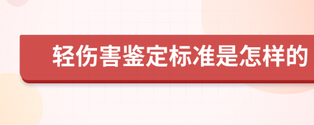 轻伤害鉴定标准是怎样的