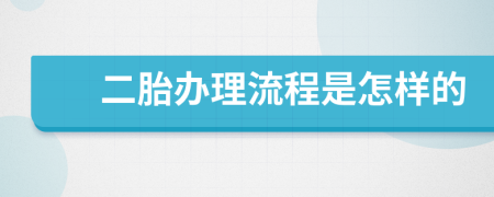 二胎办理流程是怎样的