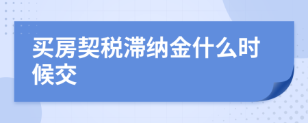 买房契税滞纳金什么时候交